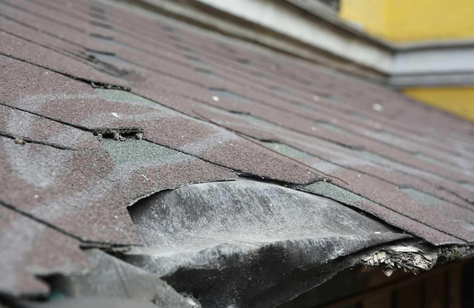 EC Roofing Company, Inc Images