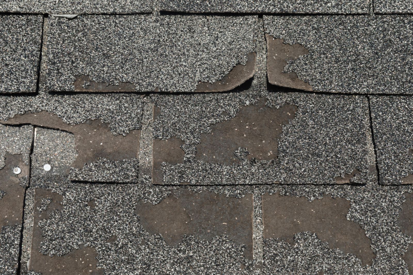 EC Roofing Company, Inc Images