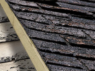 EC Roofing Company, Inc Images